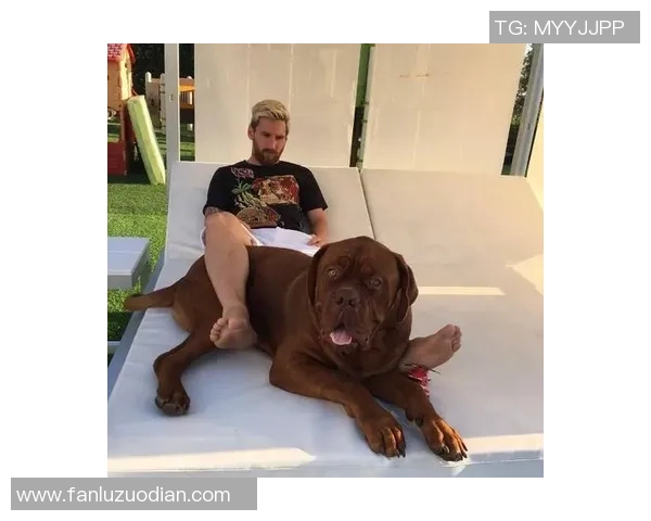 全球足球明星档案与其代表国家的深度解析与对比 全球足球明星档案与其代表国家的深度解析与对比