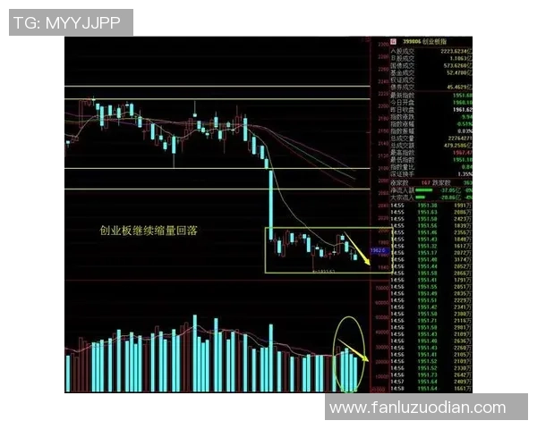 南京排球队与上海排球队赛后复盘分析比赛节奏与战术调整
