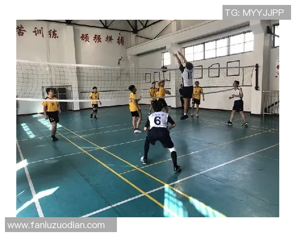 重庆排球队的成长之路：城市联赛中的拼搏与梦想