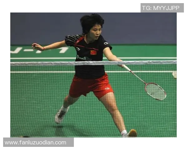 上海羽毛球队运动员个人能力分析与表现评估研究