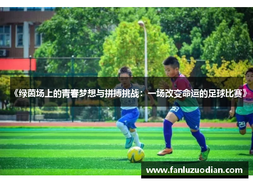 《绿茵场上的青春梦想与拼搏挑战：一场改变命运的足球比赛》