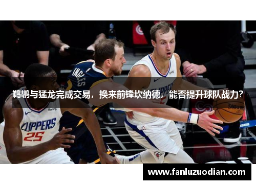 鹈鹕与猛龙完成交易，换来前锋坎纳德，能否提升球队战力？